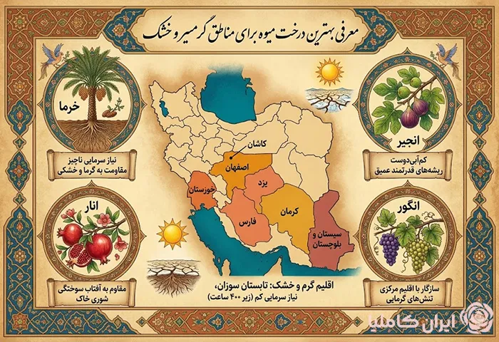 بهترین درخت میوه برای مناطق سردسیر و گرمسیر